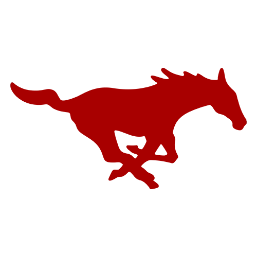 Southern Methodist University