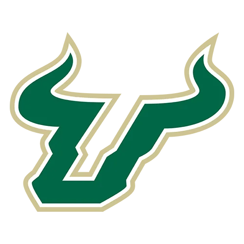 University of South Florida